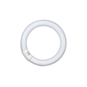 LEDVANCE OSRAM Λάμπα Φθορισμού - L32W/865 G10Q Λοιπές Λάμπες - Φθορισμού - Κυκλικές G10q