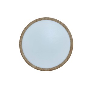 RP Ceiling Light with hanging option - Round With PC Cover/Φ300mm/24W/3CCT/Woody Indoor Luminaires Onetrade