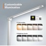TaoTronics TT-DL19 - LED Desk Lamp with Touch Control & USB Port, 5 Color Modes, 5 Brightness Levels, Silver Office lighting