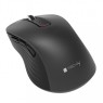 Techly IM 200-WL-BK - 2.4 GHZ 5D Wireless Optical Mouse 1000/1200/1600 Dpi Black Computer accessories Onetrade